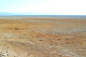 Fahrt durch die Wüste