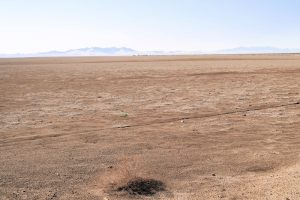 Fahrt durch die Wüste