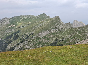 bild24