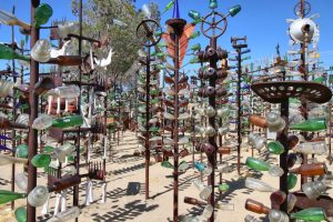 Elmer’s Bottle Tree Ranch