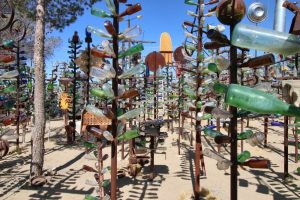 Elmer’s Bottle Tree Ranch