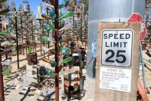 Elmer’s Bottle Tree Ranch