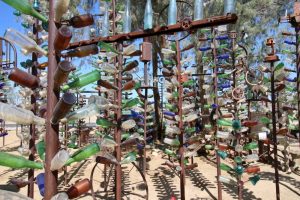 Elmer’s Bottle Tree Ranch