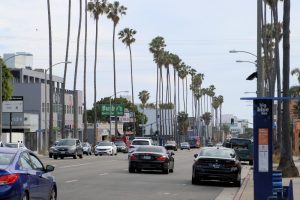 Santa Monica Blvd, Palmenallee