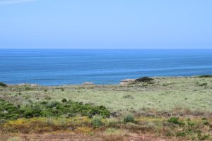 Pazifikküste auf dem Weg nach San Diego