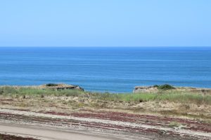 Pazifikküste auf dem Weg nach San Diego