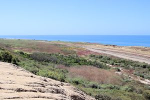 Pazifikküste auf dem Weg nach San Diego