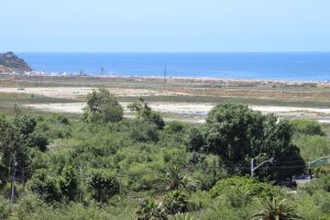 Pazifikküste auf dem Weg nach San Diego