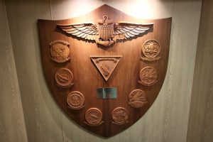 Carrier Air Wing Members