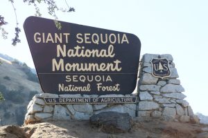 Sequoia National Forest