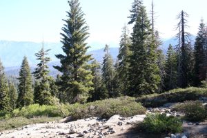 Kings Canyon Overlook