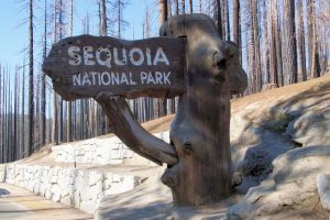 Sequoia National Park