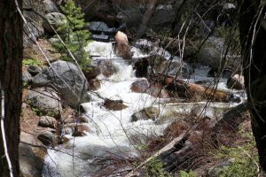 Wolverton Creek