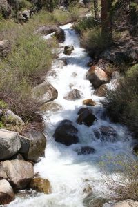 Silliman Creek