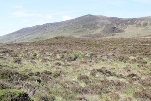 Caherconree Scenic Route