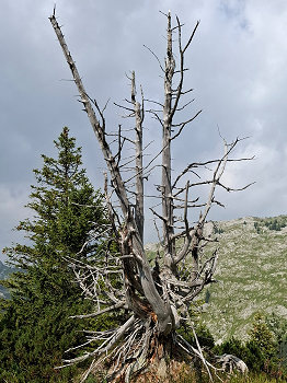 bild28