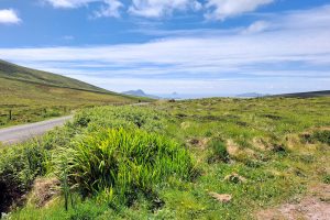 Auf dem Weg zum Dunquin Pier
