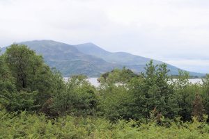 Blick auf Lough Leane