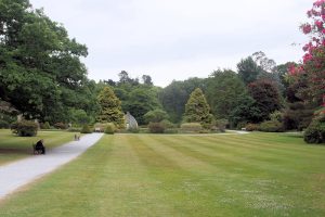 Muckross Garden