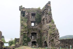 Carriganass Castle