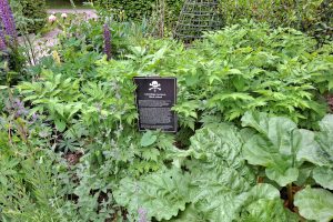 Im Giftgarten
