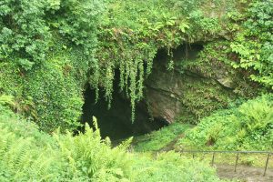 Dunmore Cave - Eingang