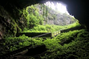 Dunmore Cave - Blick nach oben