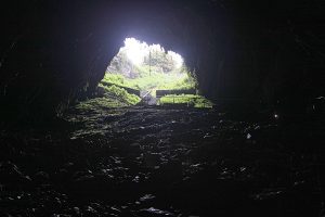 Dunmore Cave - Blick nach oben
