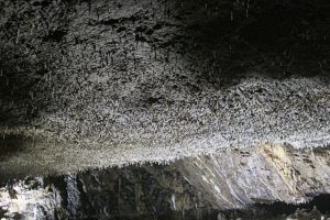 Dunmore Cave