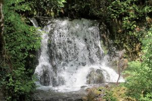 Eden Vale Waterfalls