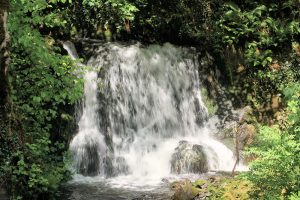 Eden Vale Waterfalls