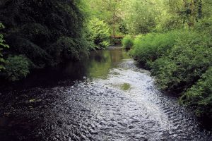 Fluss Sow
