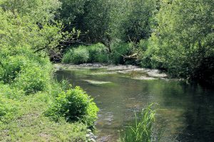 Fluss Sow