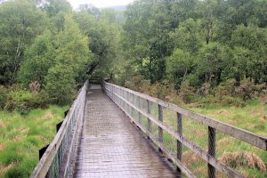 Wanderweg über’s Moor
