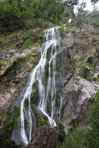 Powerscourt Waterfall