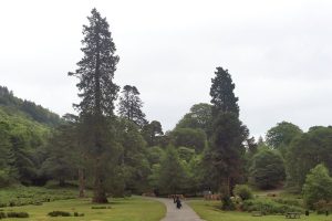 Powerscourt Estate