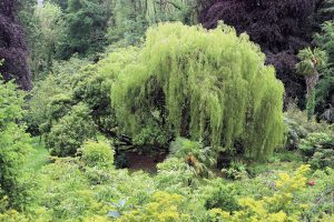 Powerscourt Gardens