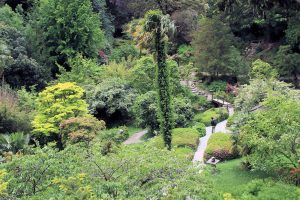 Powerscourt Gardens