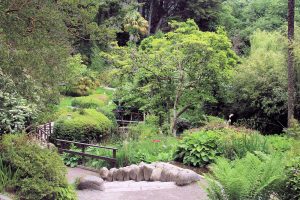 Powerscourt Gardens