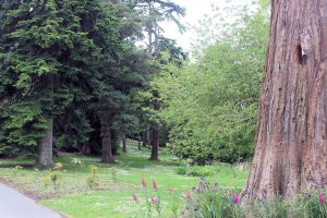 National Botanic Gardens