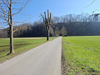 bild001