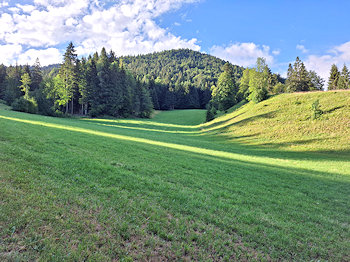 bild001