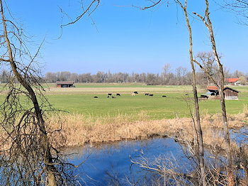 bild003