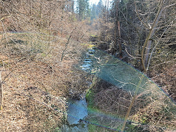 bild005