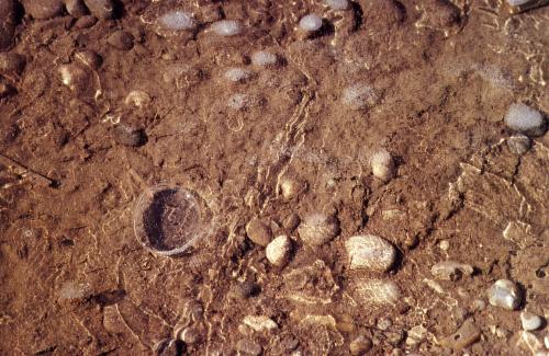 Eingefrorene Luftblasen