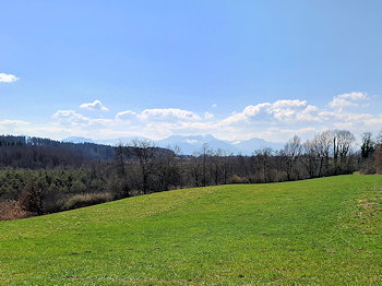 bild017
