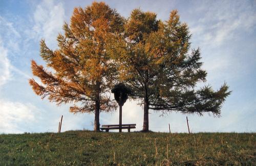 Baumgruppe mit Marterl am Kirchsee