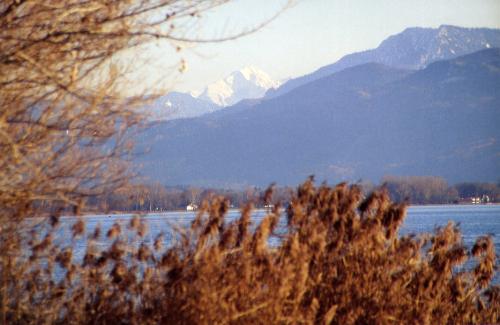 Chiemsee im Dezember 2003